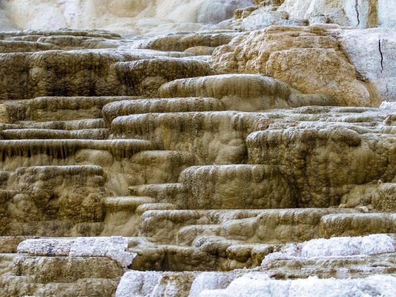 Travertine slab showing natural voids