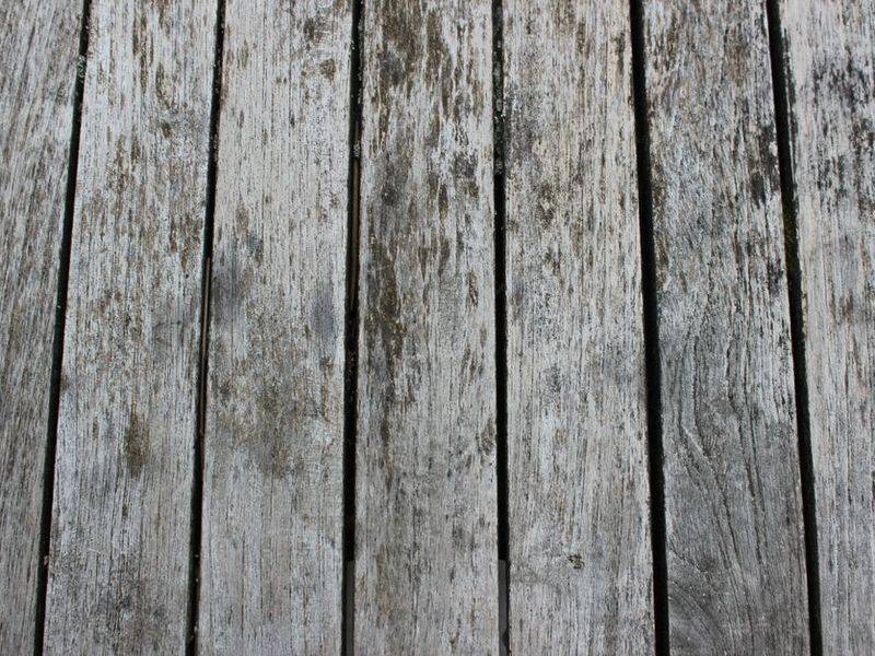 Bald cypress milled board grain