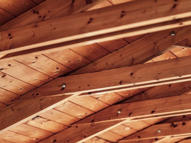 Exposed Douglas fir beams