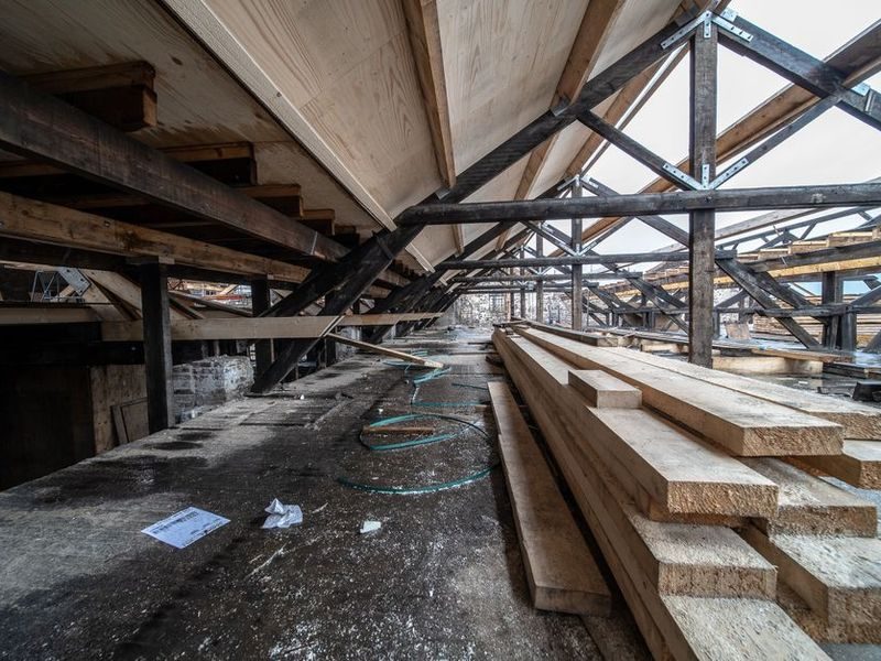Hemlock framing lumber
